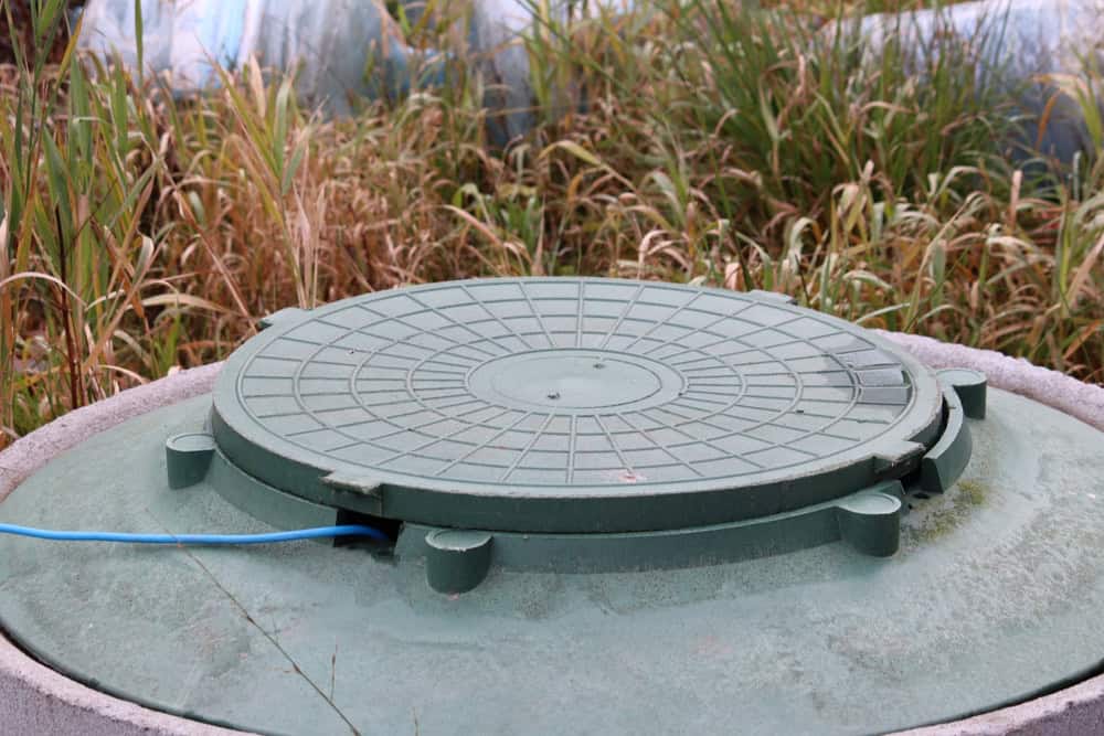 A green circular septic tank cover, partially obscured by tall grass and vegetation, features a grid pattern with a blue cable draped over it. Regular maintenance from Septic Tank Services ensures optimal performance, keeping your system in top shape.