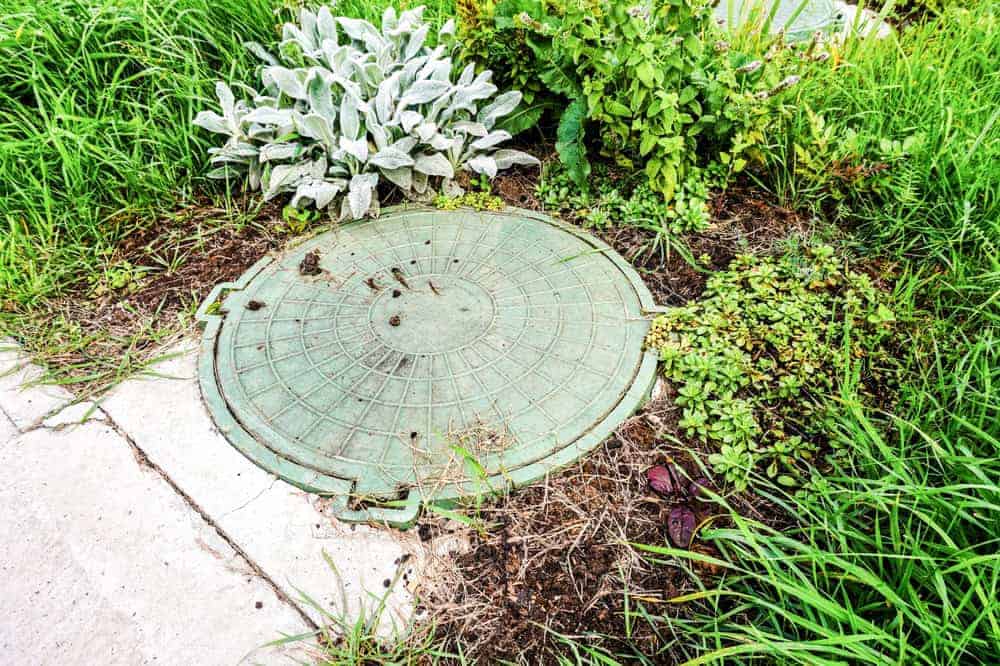 A circular green manhole cover, hinting at nearby septic tank services, is surrounded by lush greenery, including various plants and grass. Some of the plants have silver-grey leaves, creating a contrast with the cover and vegetation. A stone path lies nearby.